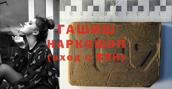 индика Абаза